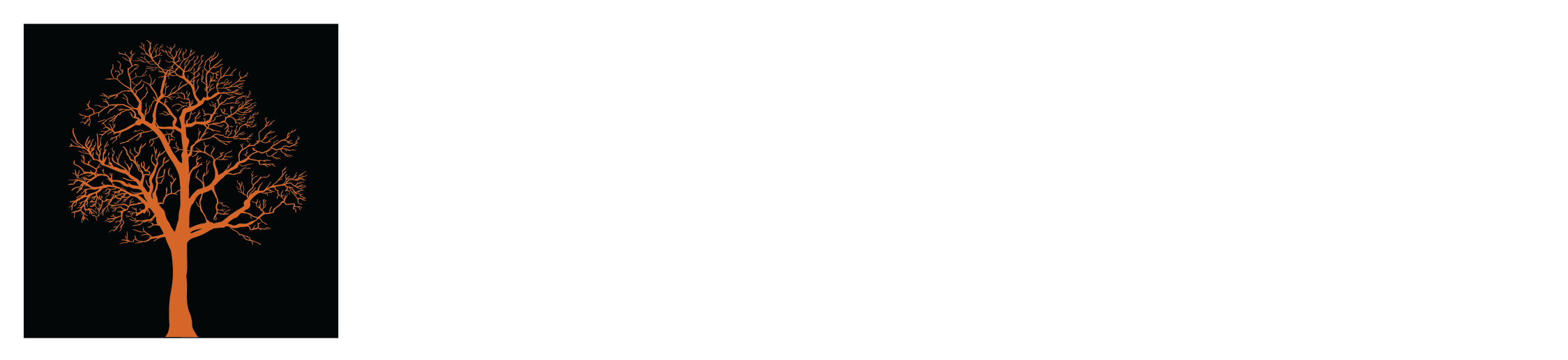 Maclura Investments